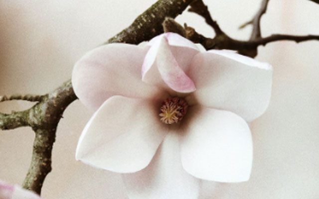 厦门心理治疗.jpg 厦门心理治疗.jpg