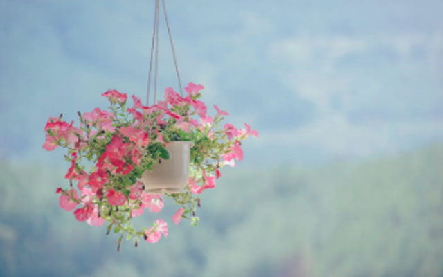 南平心理咨询.jpg 南平心理咨询.jpg