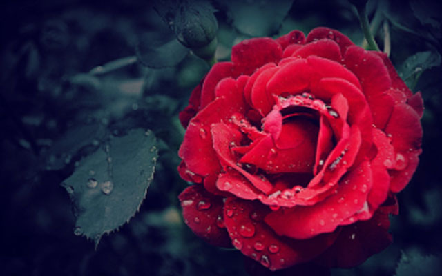 漳州心理医生.jpg 漳州心理医生.jpg